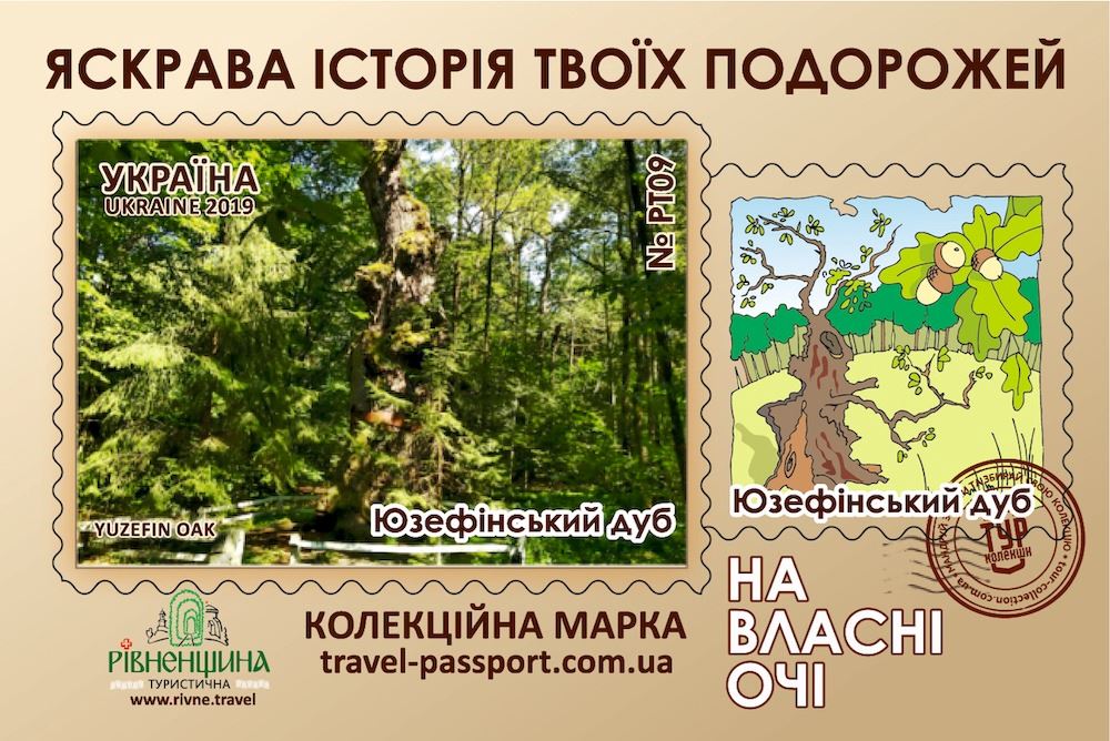 Юзефінський дуб