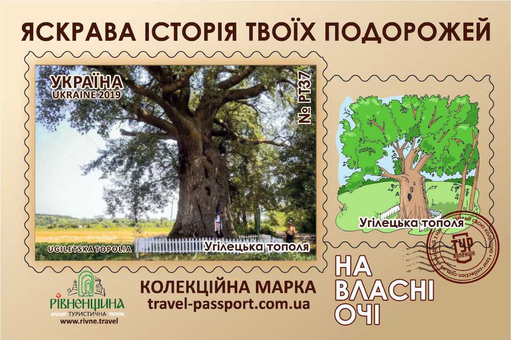 Угілецька тополя