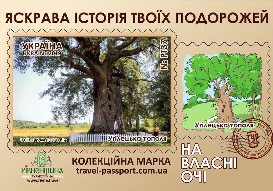 Угілецька тополя