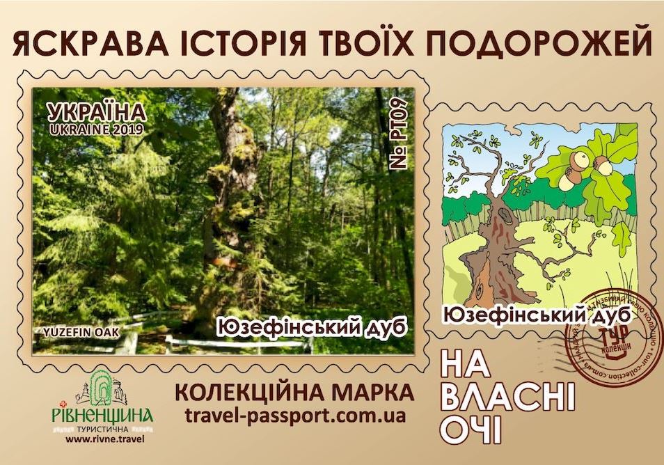 Юзефінський дуб